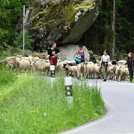 Farm stay Agritourisme De Montagnier