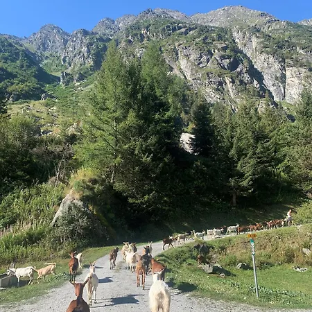 Agritourisme De Montagnier Séjour à la ferme *