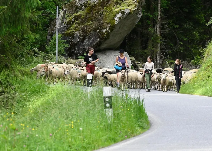 Κατάλυμα σε φάρμα Agritourisme De Montagnier