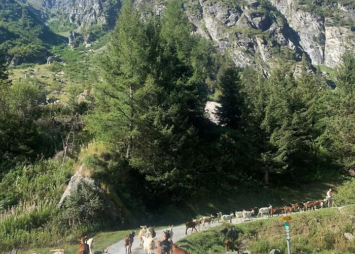 Agritourisme De Montagnier Κατάλυμα σε φάρμα *